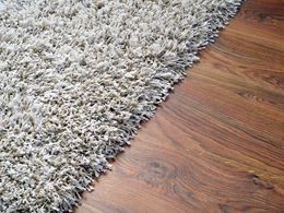 Carpet or hardwood flooring